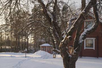 Фото номера Вилла Anne hirsimökki Дома для отпуска Silfvastas Holiday Homes г. Лапинъярви 13